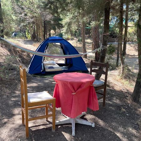 Drolma Ling Nature Cabins Theológos Dış mekan fotoğraf