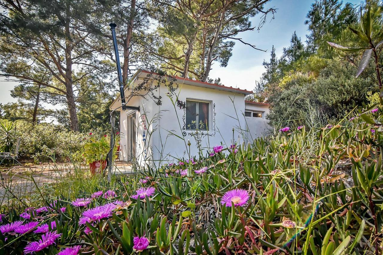 Drolma Ling Nature Cabins Theológos Dış mekan fotoğraf