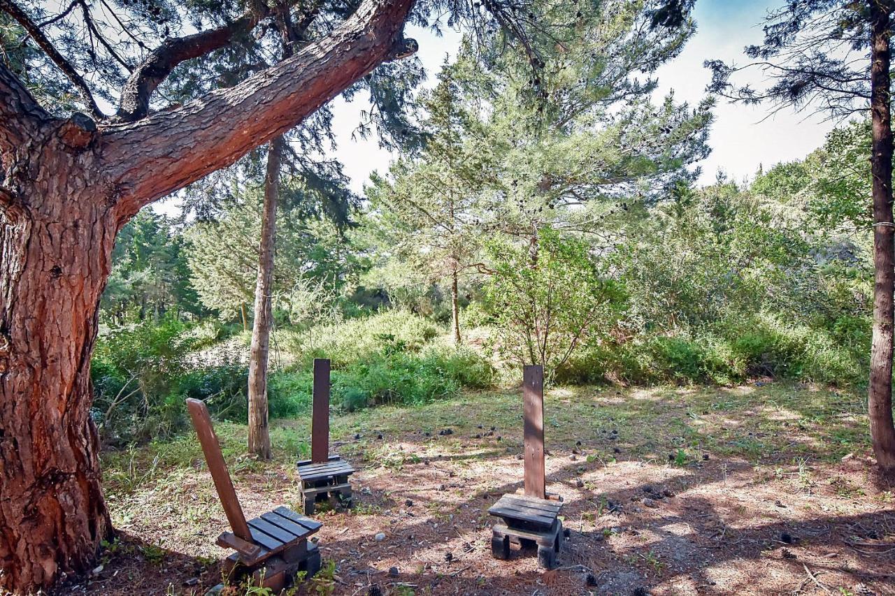 Drolma Ling Nature Cabins Theológos Dış mekan fotoğraf