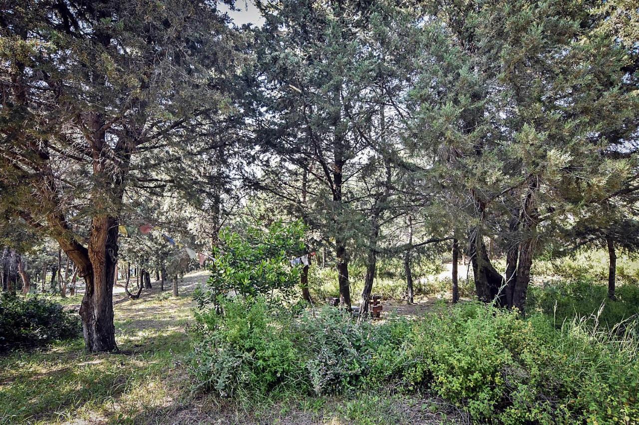 Drolma Ling Nature Cabins Theológos Dış mekan fotoğraf
