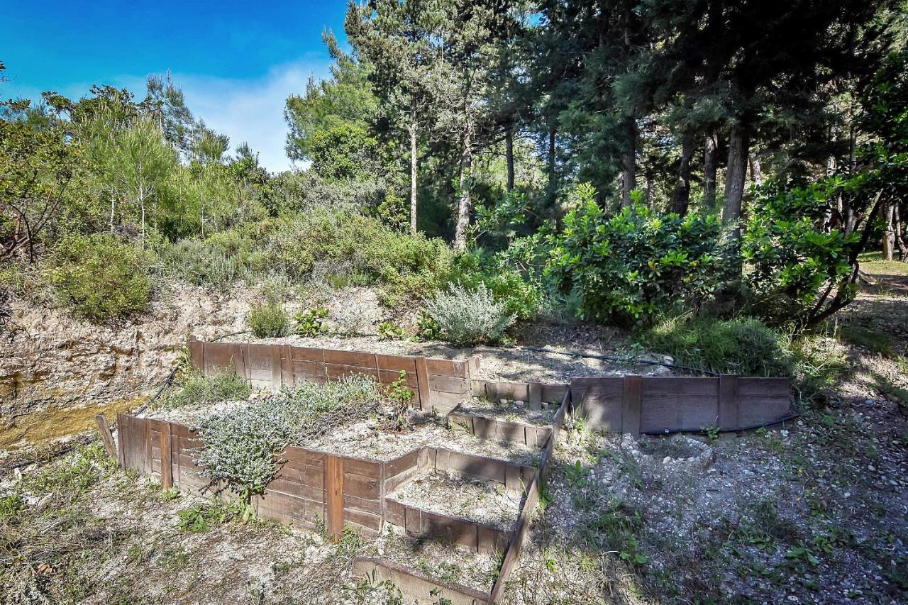 Drolma Ling Nature Cabins Theológos Dış mekan fotoğraf