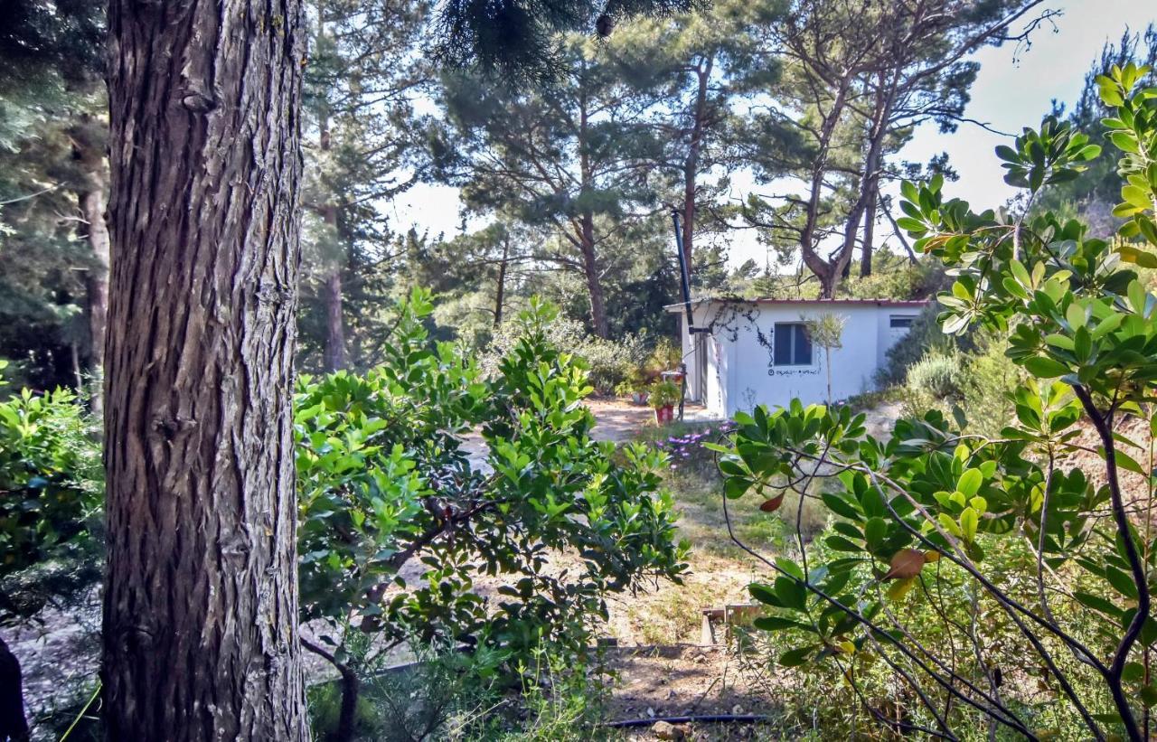 Drolma Ling Nature Cabins Theológos Dış mekan fotoğraf