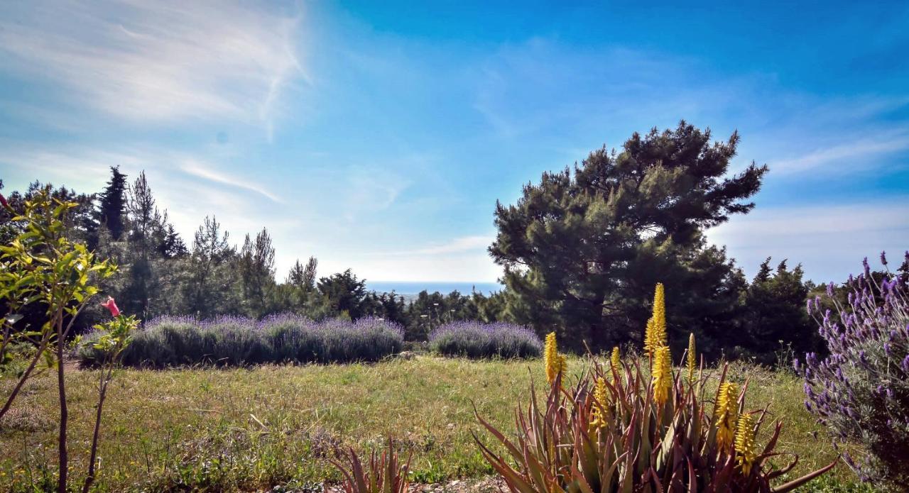 Drolma Ling Nature Cabins Theológos Dış mekan fotoğraf