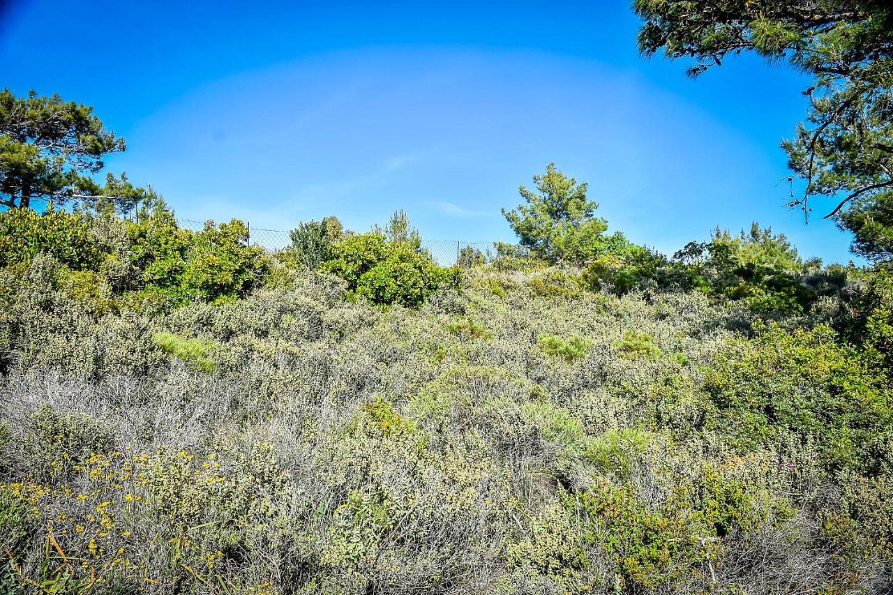 Drolma Ling Nature Cabins Theológos Dış mekan fotoğraf
