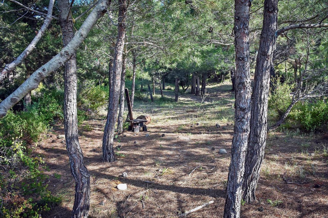 Drolma Ling Nature Cabins Theológos Dış mekan fotoğraf