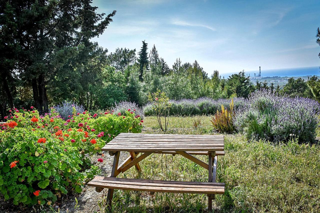 Drolma Ling Nature Cabins Theológos Dış mekan fotoğraf