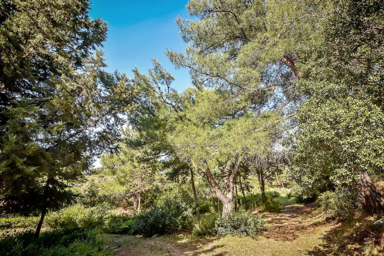 Drolma Ling Nature Cabins Theológos Dış mekan fotoğraf