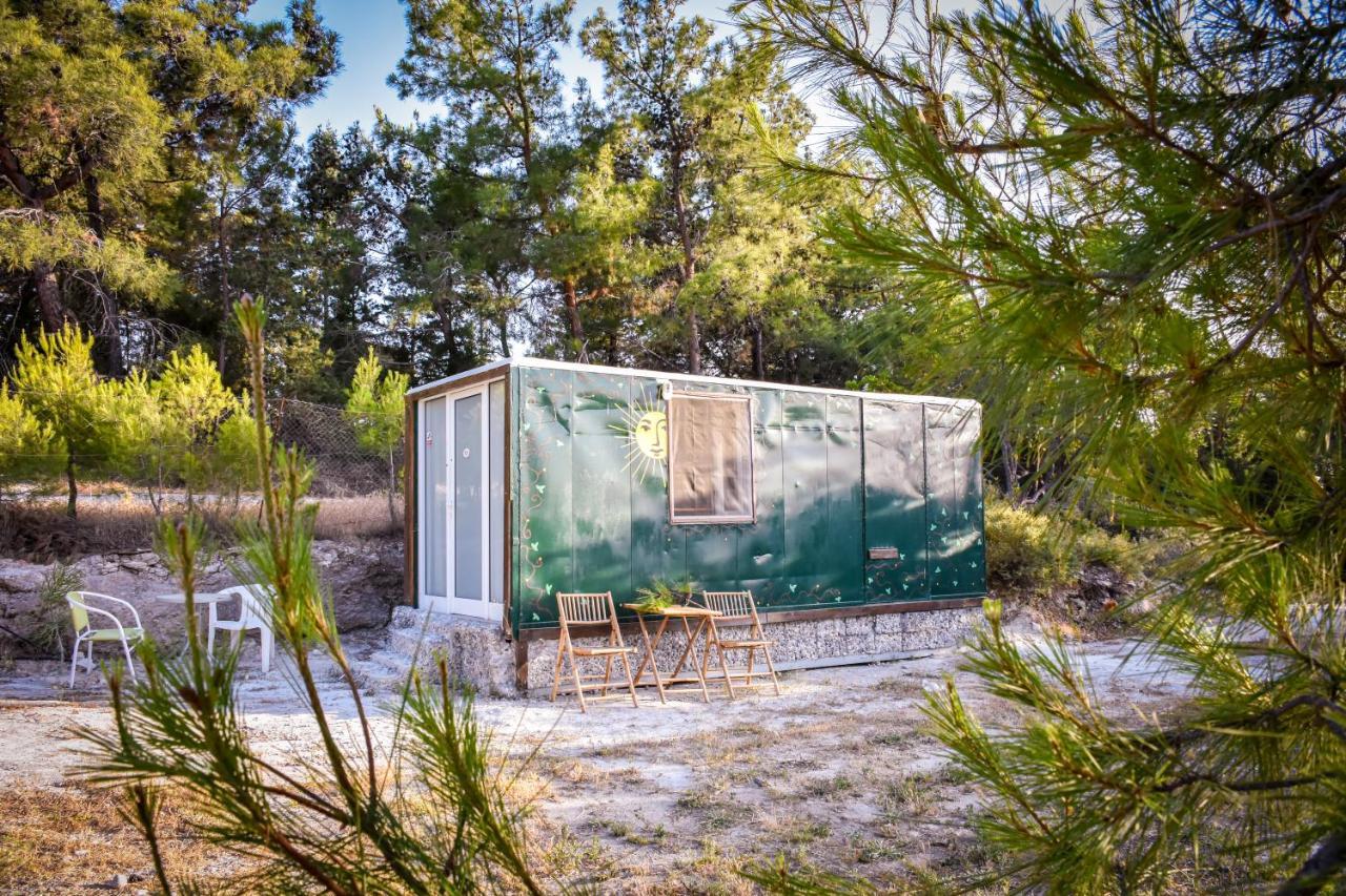 Drolma Ling Nature Cabins Theológos Dış mekan fotoğraf