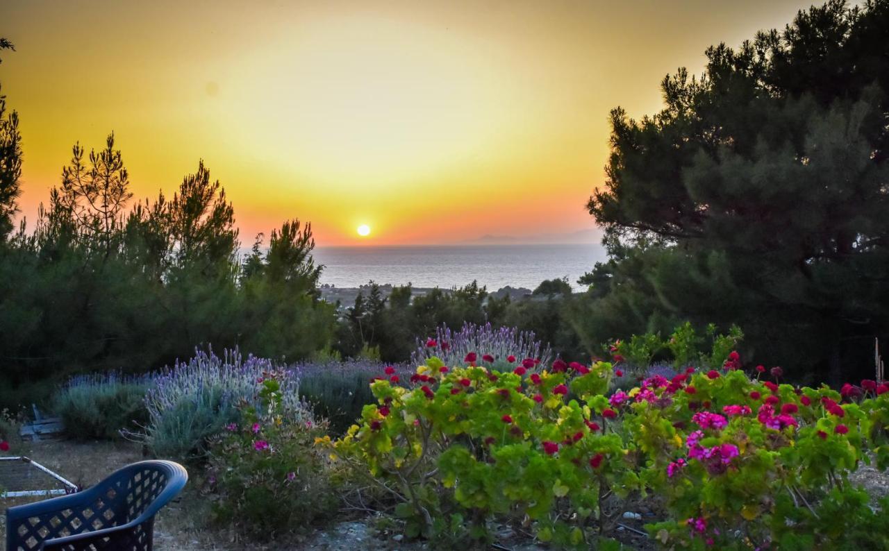 Drolma Ling Nature Cabins Theológos Dış mekan fotoğraf