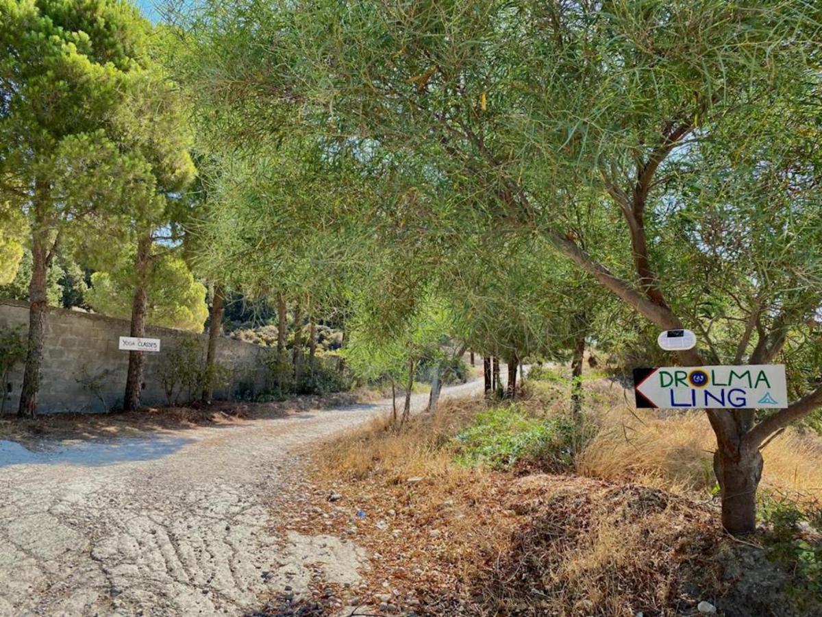 Drolma Ling Nature Cabins Theológos Dış mekan fotoğraf