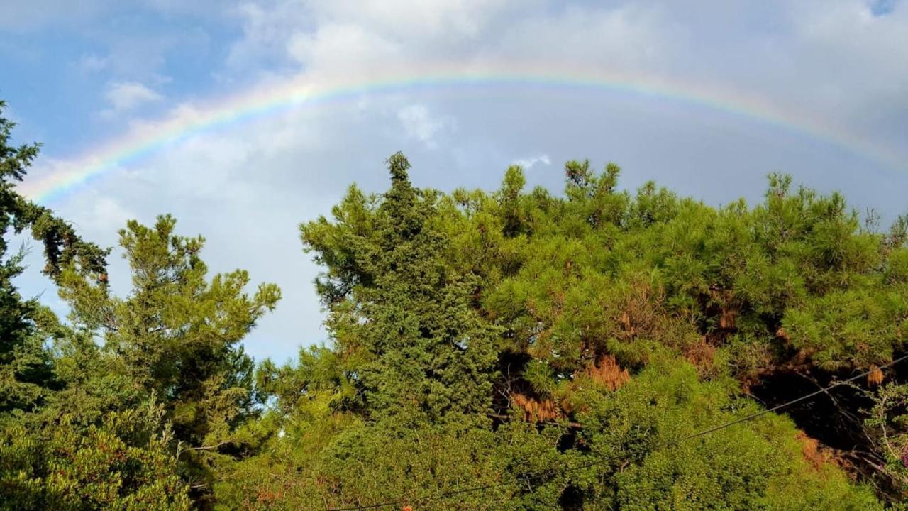 Drolma Ling Nature Cabins Theológos Dış mekan fotoğraf