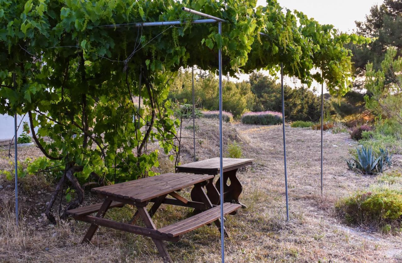 Drolma Ling Nature Cabins Theológos Dış mekan fotoğraf