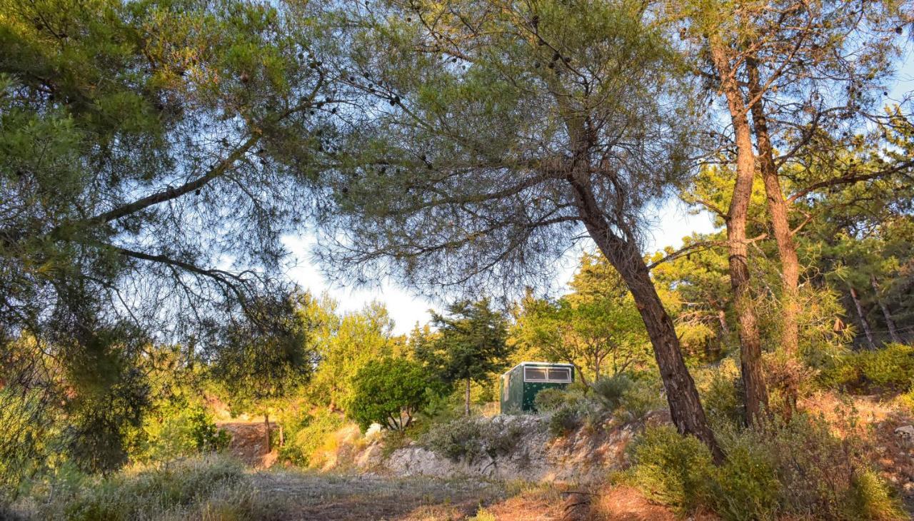 Drolma Ling Nature Cabins Theológos Dış mekan fotoğraf