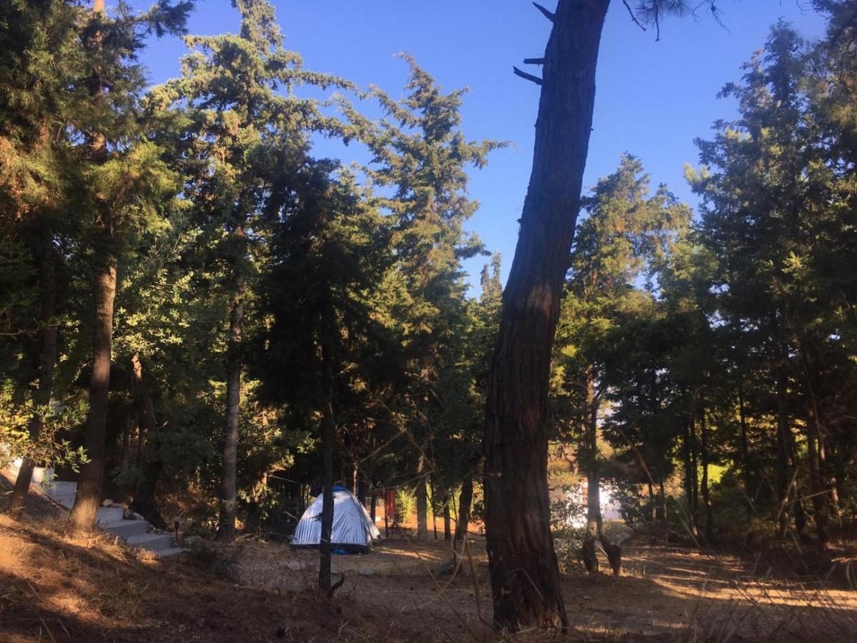 Drolma Ling Nature Cabins Theológos Dış mekan fotoğraf