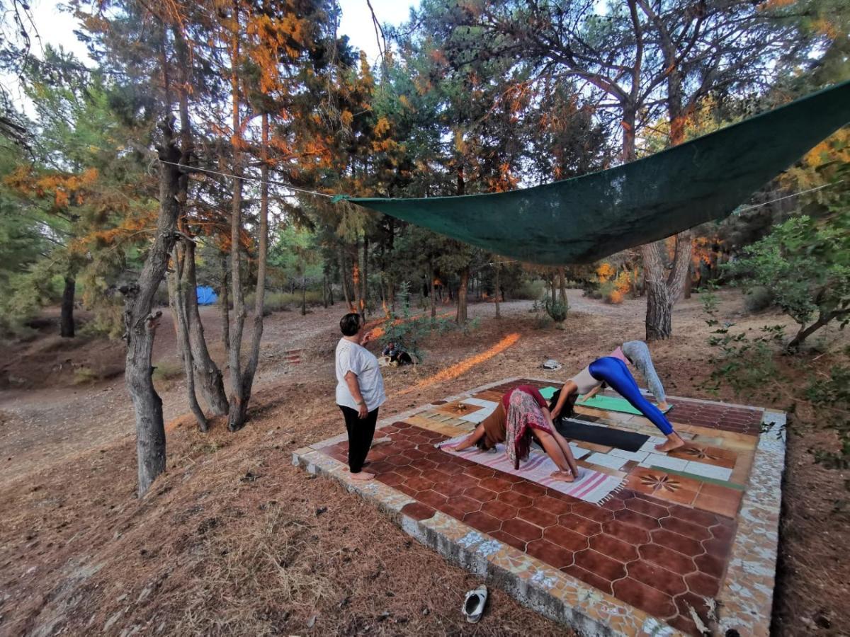 Drolma Ling Nature Cabins Theológos Dış mekan fotoğraf