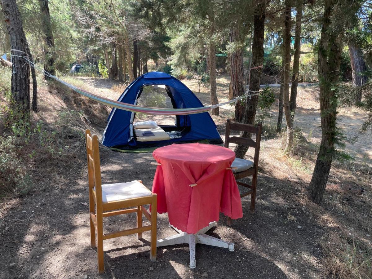 Drolma Ling Nature Cabins Theológos Dış mekan fotoğraf