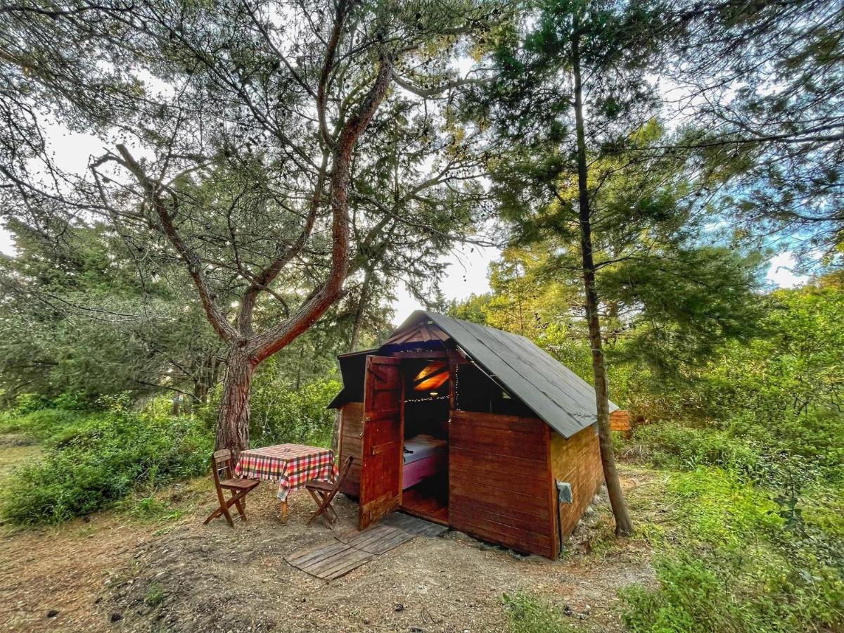 Drolma Ling Nature Cabins Theológos Dış mekan fotoğraf