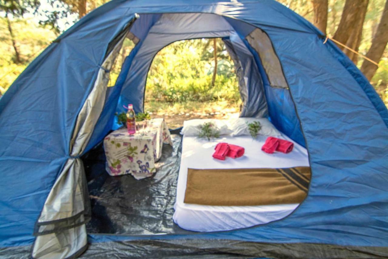 Drolma Ling Nature Cabins Theológos Dış mekan fotoğraf