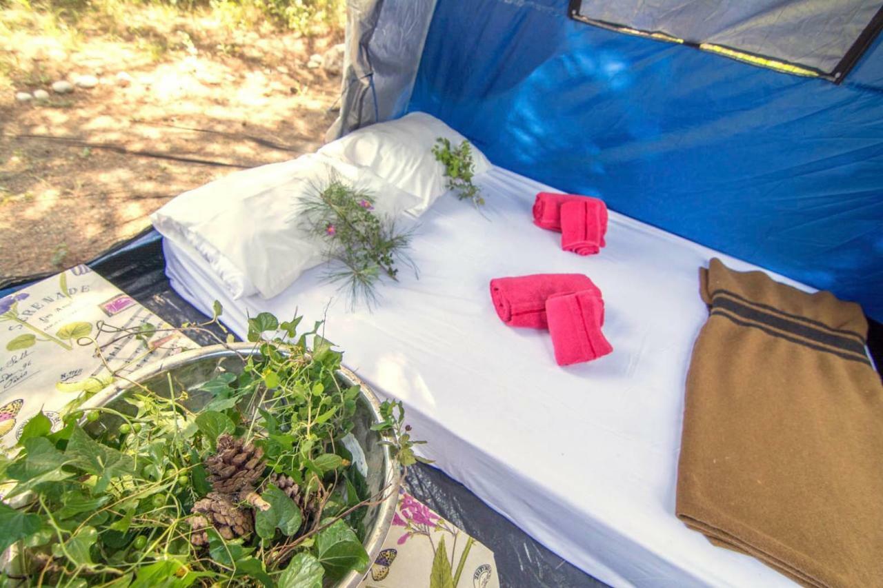 Drolma Ling Nature Cabins Theológos Dış mekan fotoğraf