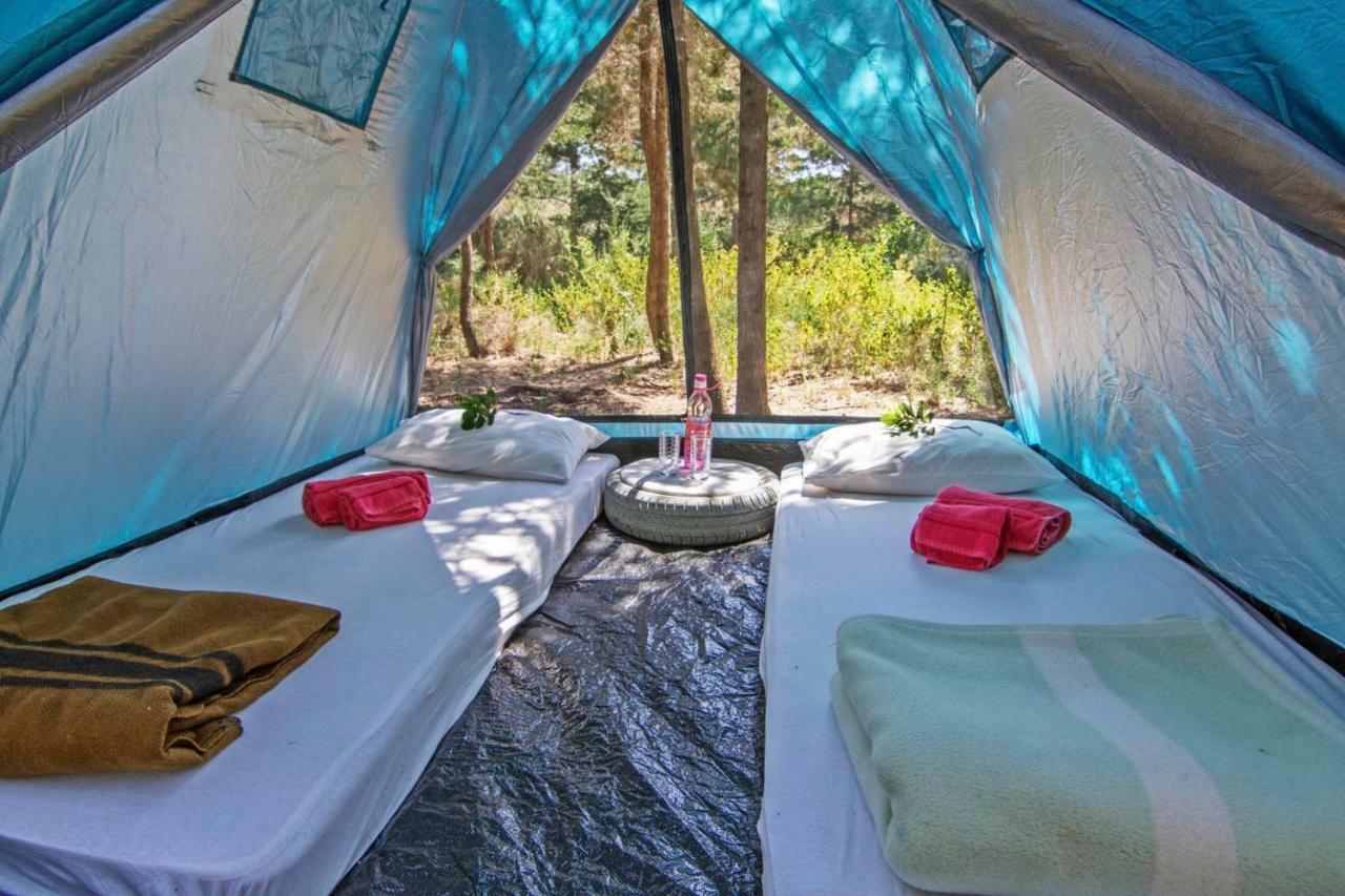 Drolma Ling Nature Cabins Theológos Dış mekan fotoğraf