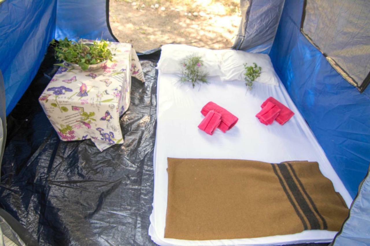 Drolma Ling Nature Cabins Theológos Dış mekan fotoğraf