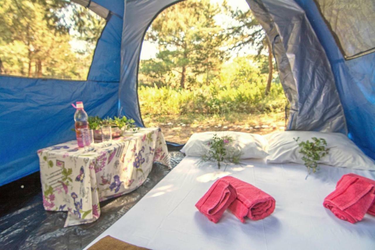 Drolma Ling Nature Cabins Theológos Dış mekan fotoğraf