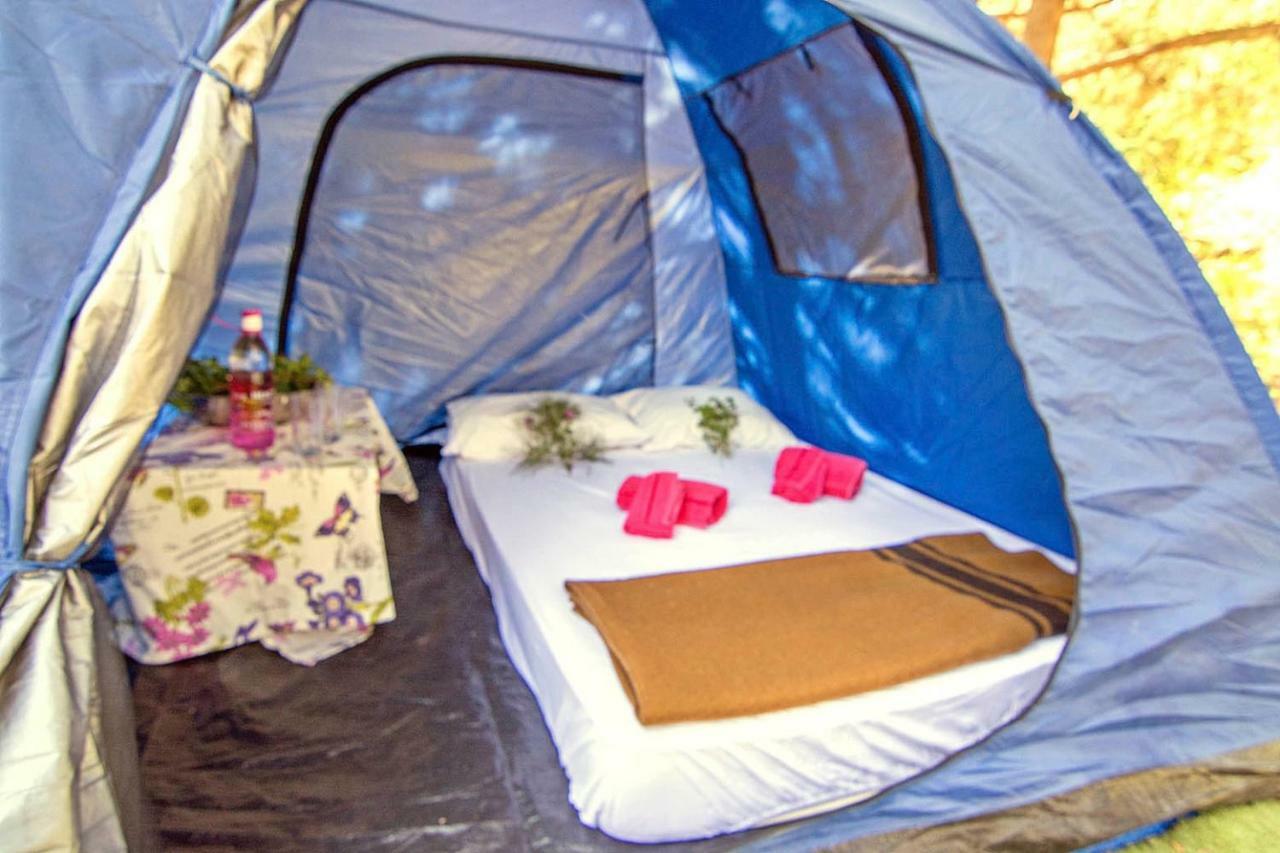 Drolma Ling Nature Cabins Theológos Dış mekan fotoğraf